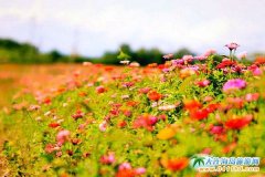  ʯ�Ǎu�����D������ʯ�Ǎu�������¾��c 