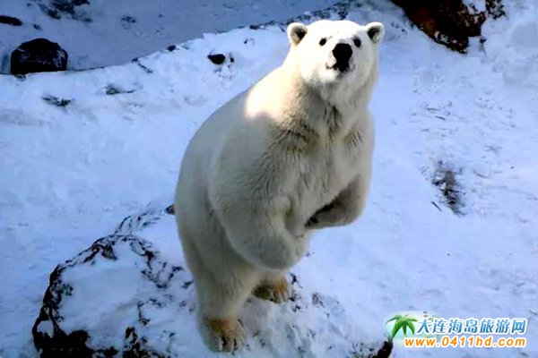 2018����(ji��)���Bɭ�ք���@