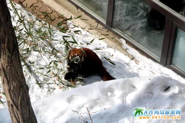 2018����(ji��)���Bɭ�ք���@