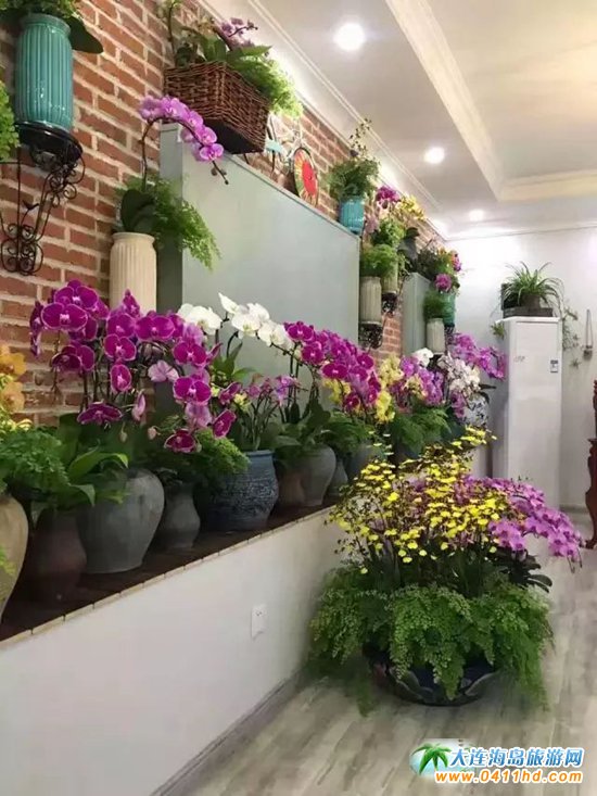 ����(ji��)����