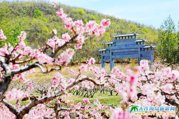 ���B����