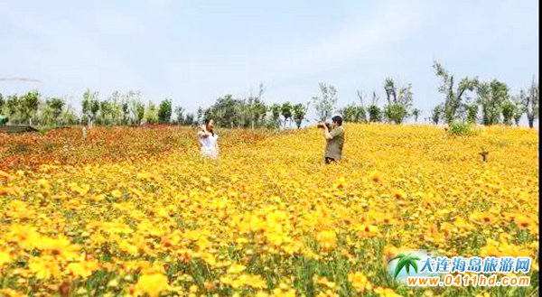 ���B����