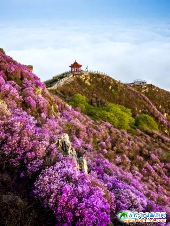 2018���ɽ���N���p������