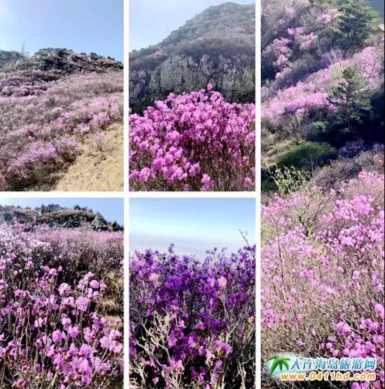 2018���ɽ���N���p������