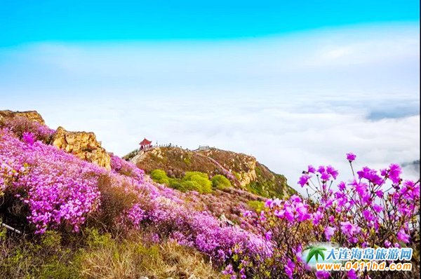 2018���ɽ���N���p������