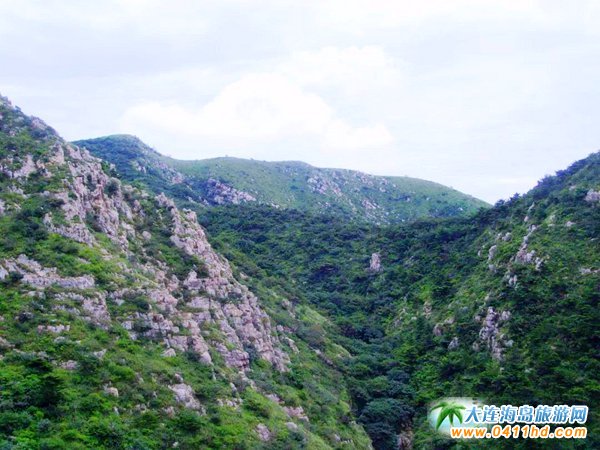 大黑山杜鵑花幾月開