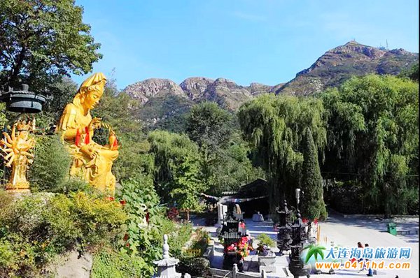 ���ɽ���N��ʢ�_�r�g��������