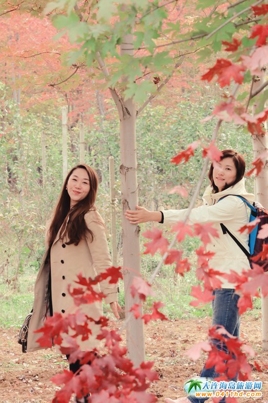 ��ʮ�ﱤ���~��