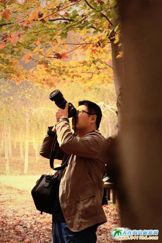 ��ʮ�ﱤ���~��