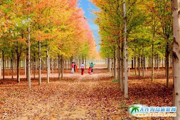 ��ʮ�ﱤ���~��