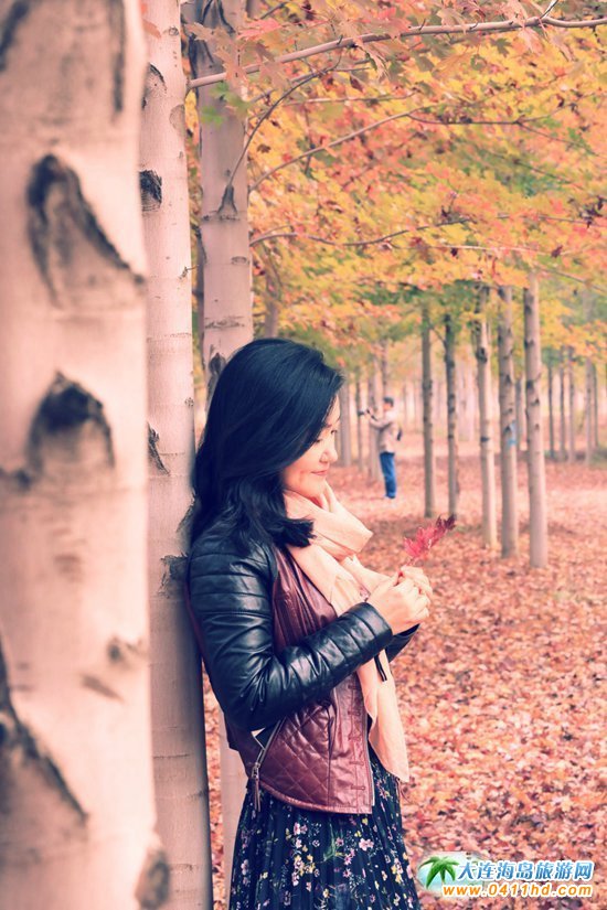 ��ʮ�ﱤ���~��