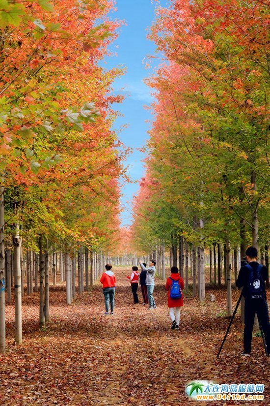 ��ʮ�ﱤ���~��