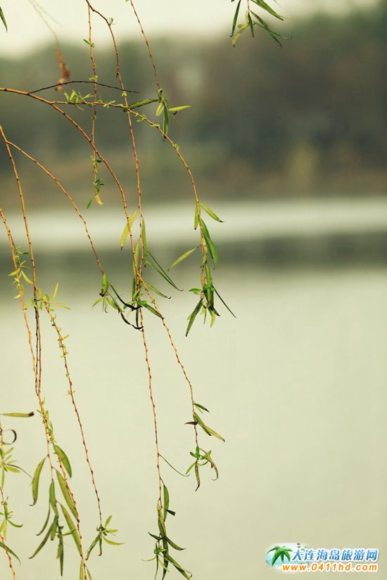 ��ʮ�ﱤ���~��