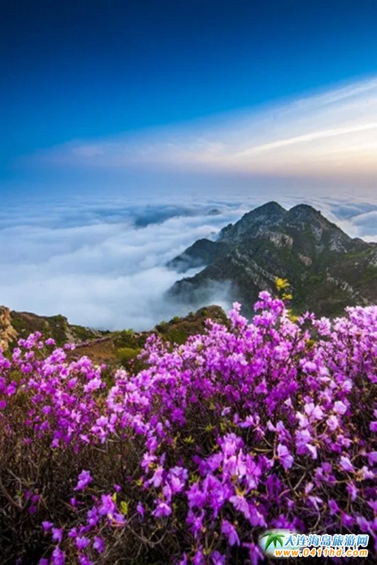 ���B����