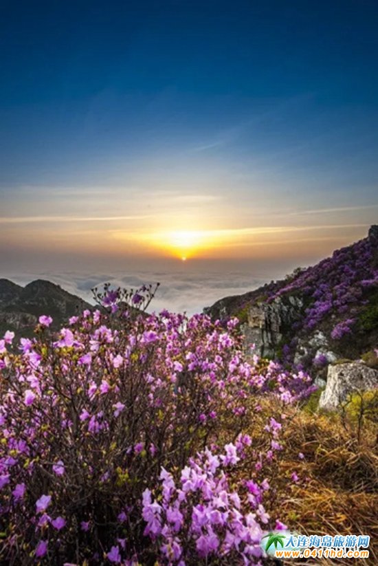 ���B����