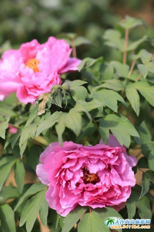 ��һ���B����