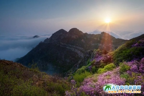 ��һ���B����