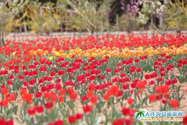 ���B��ʯ������