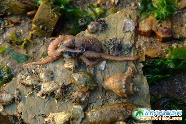 ���B�s�����]