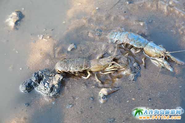 ���B�s�����]