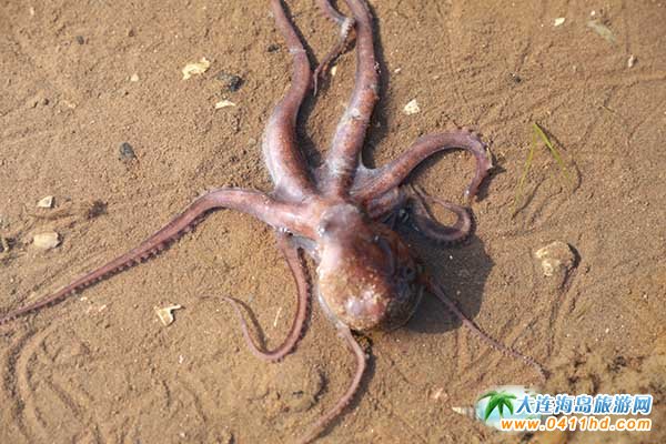 ���B�s�����]