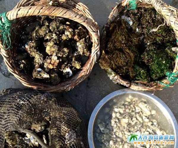 ���B�s�����]