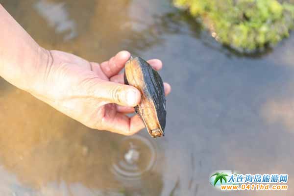 ���B�s�����]