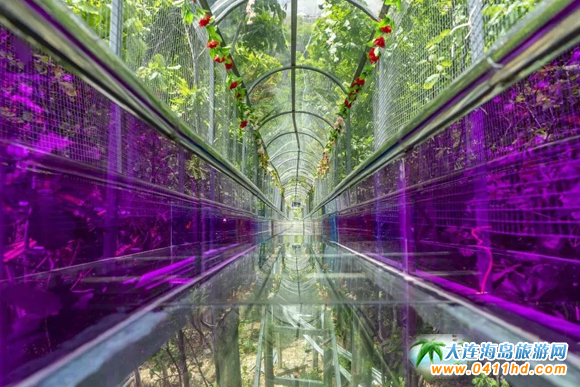 ���B���昷�ι�