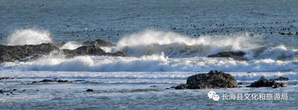 �L���h����