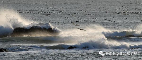 �L���h����