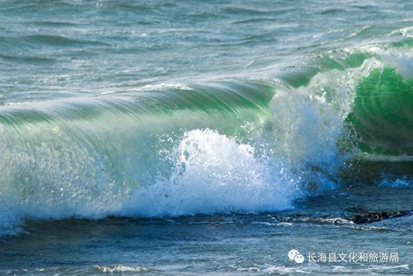 �L���h����