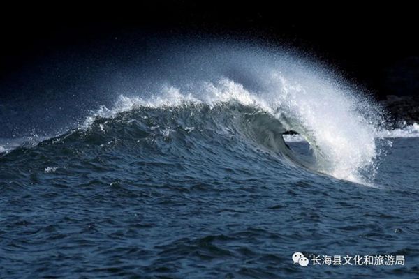 �L���h����