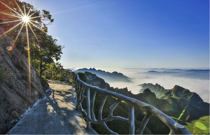 ���|�P��ɽ�TƱ