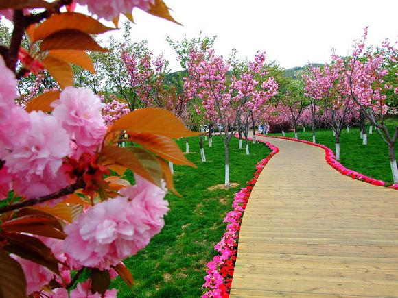 2021���B����혣��ѻ���(ji��)