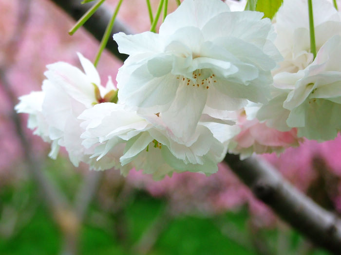 2021���B����혣��ѻ���(ji��)