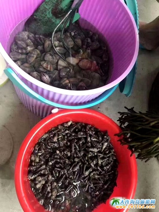 ���B�s����õĵط�������:��ɳ���s��