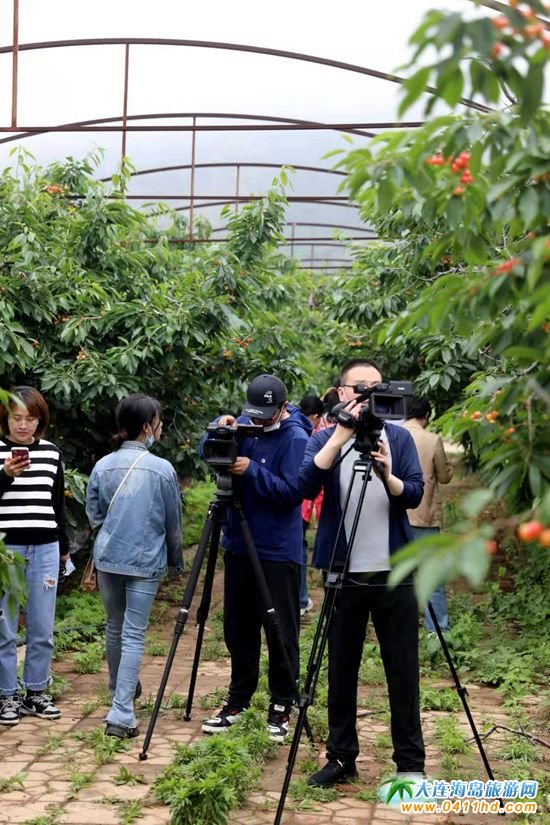 2021���B����Ҳ�ժ