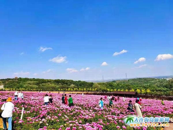 2021���繝����