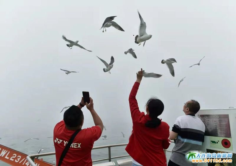 ���B�_�������r����݆�����ϼtɫ֮���h����ӣ��H���ЌW(xu��)����I��