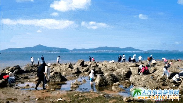 ���B����