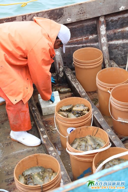 ���BΛρ�u��һ�Ì�Ұ֪���ɲ���