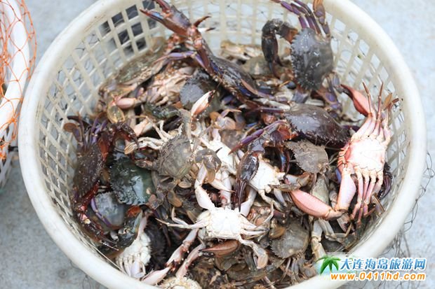 ���BΛρ�u��һ�Ì�Ұ֪���ɲ���