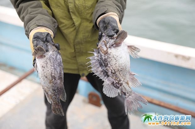 ���BΛρ�u��һ�Ì�Ұ֪���ɲ���