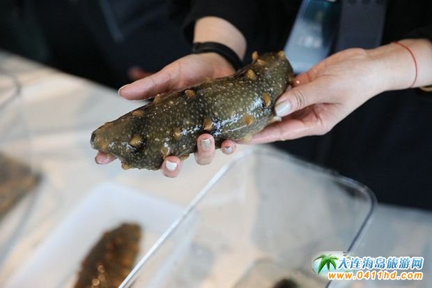 ���BΛρ�u��һ�Ì�Ұ֪���ɲ���