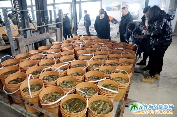 Λρ�u����