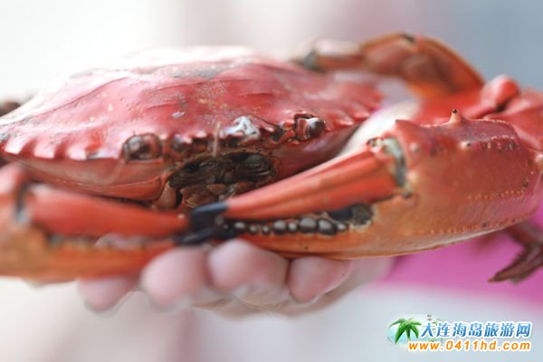 ���B���r�з