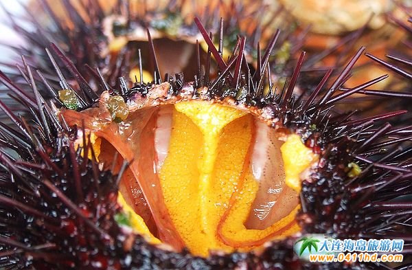 ���B���ι���