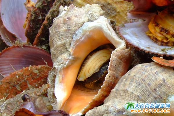 ���B����