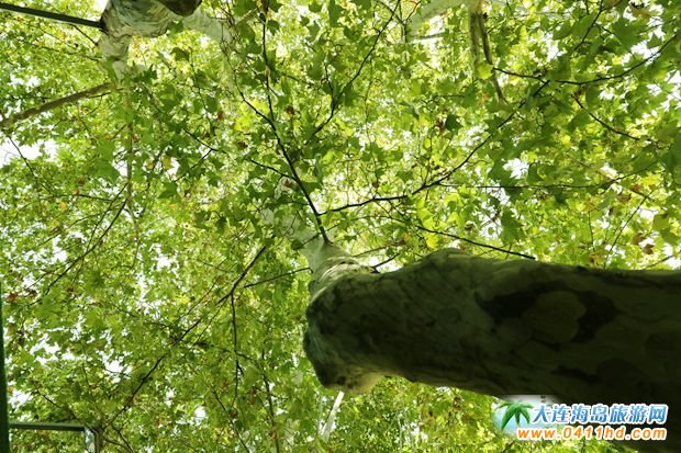 ���B���ι���֮��������