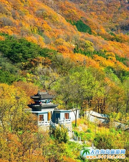 ����B��������